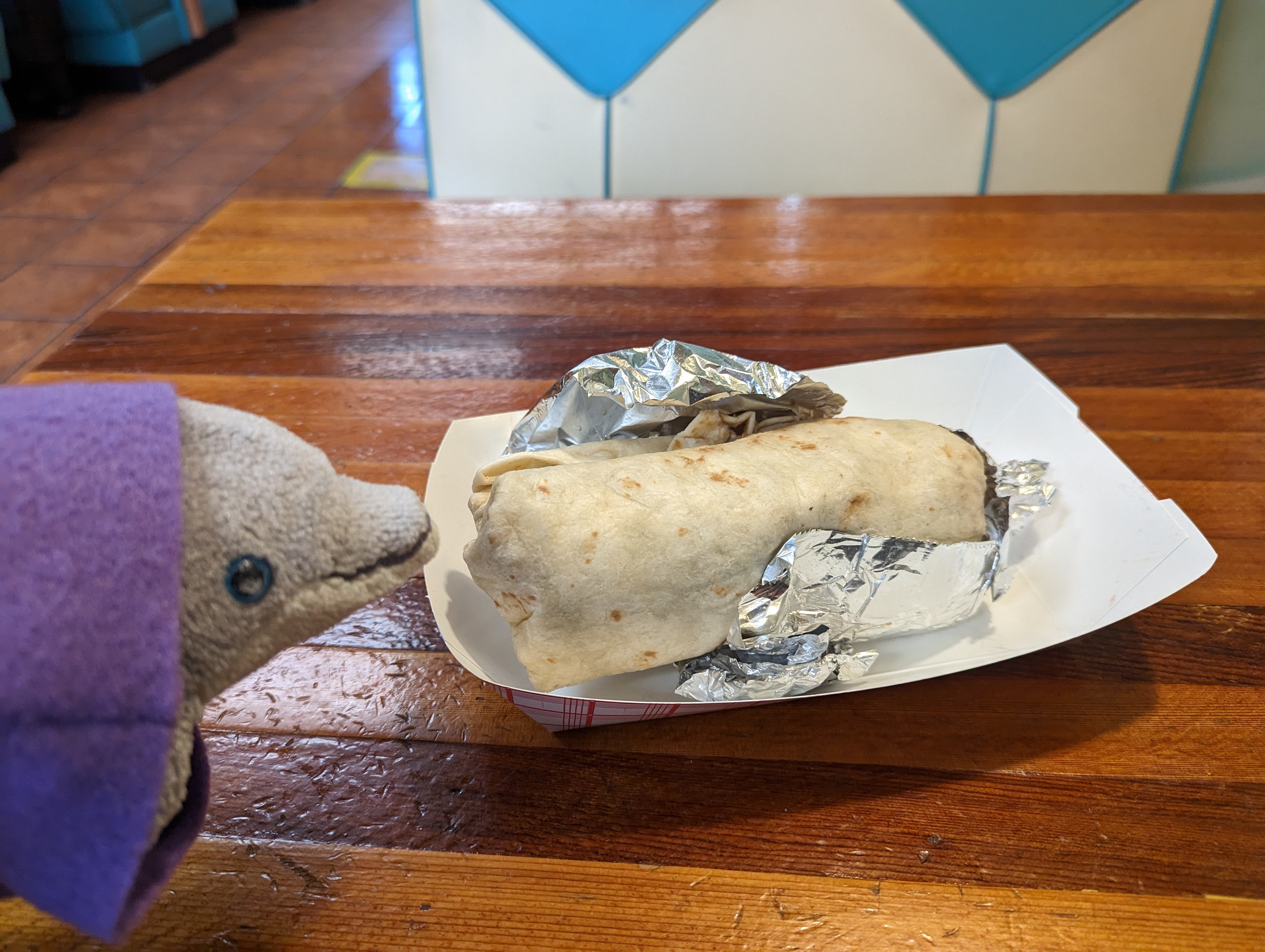 Willie and a burrito